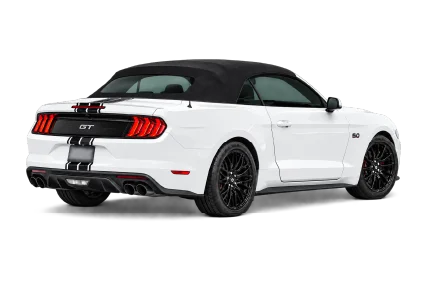 rear quarter
