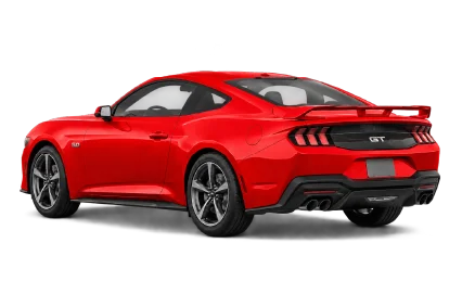 rear quarter