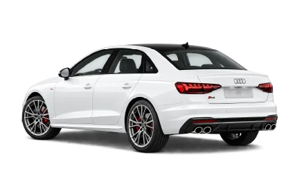 rear quarter